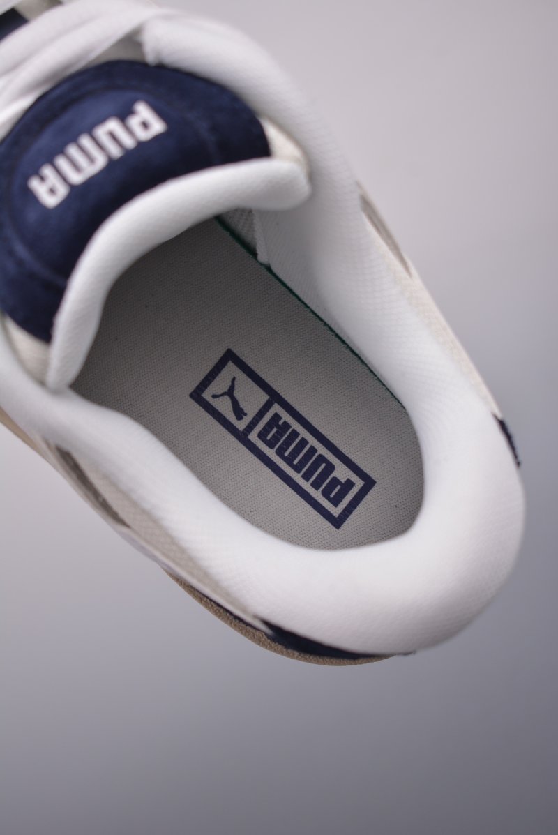 Puma Night Rider view