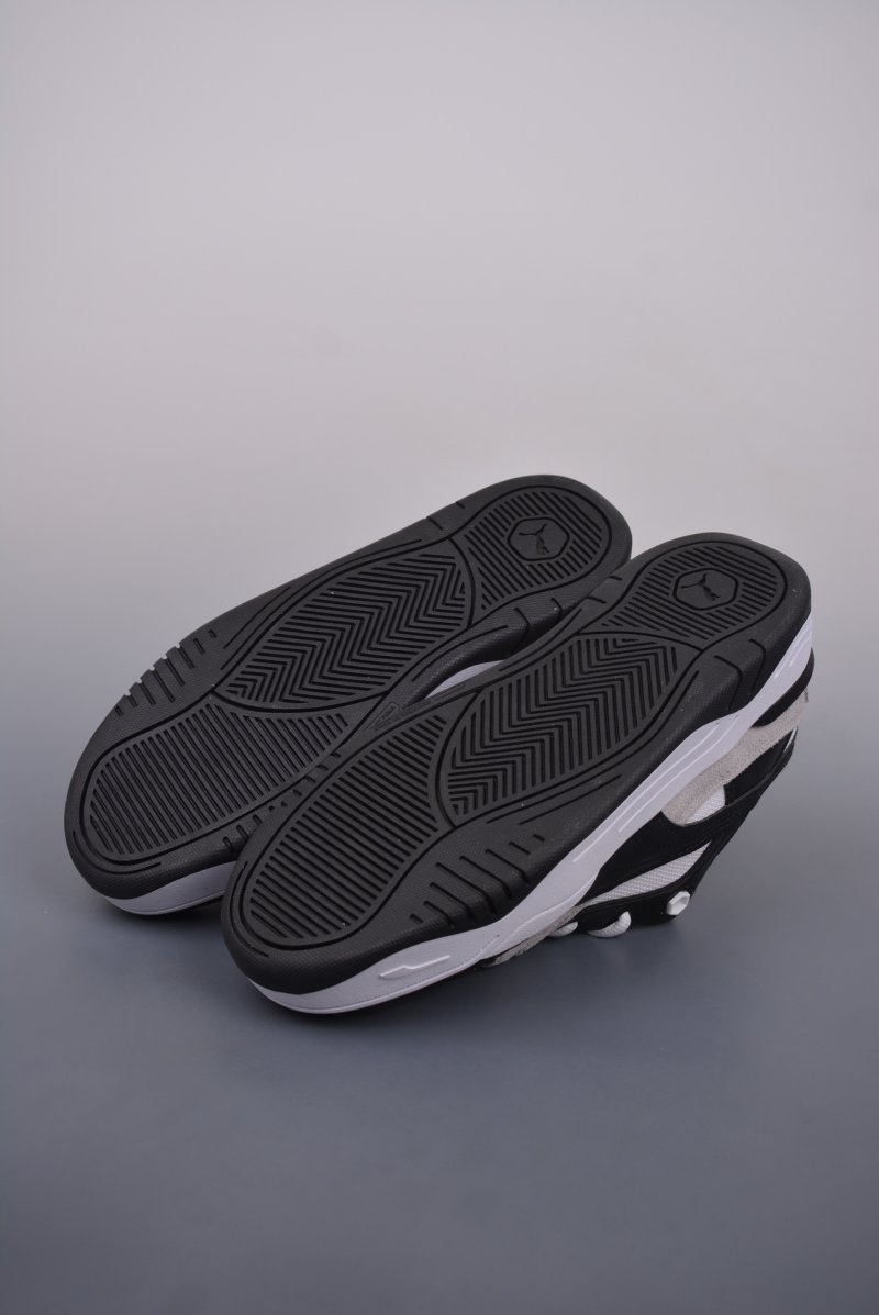 Puma Night Rider view