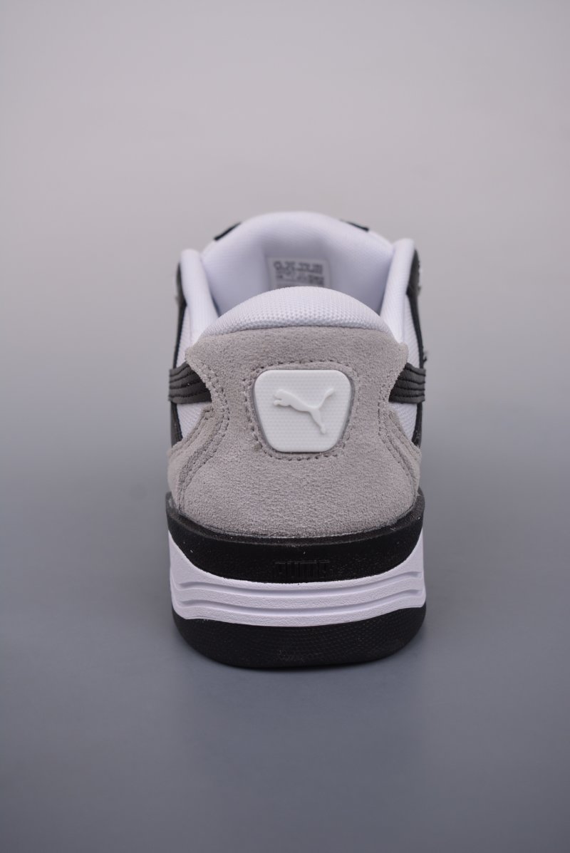 Puma Night Rider view