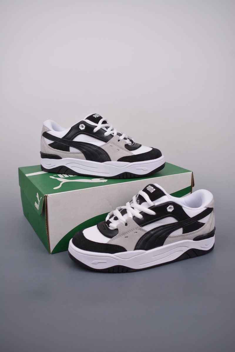 Puma Night Rider view