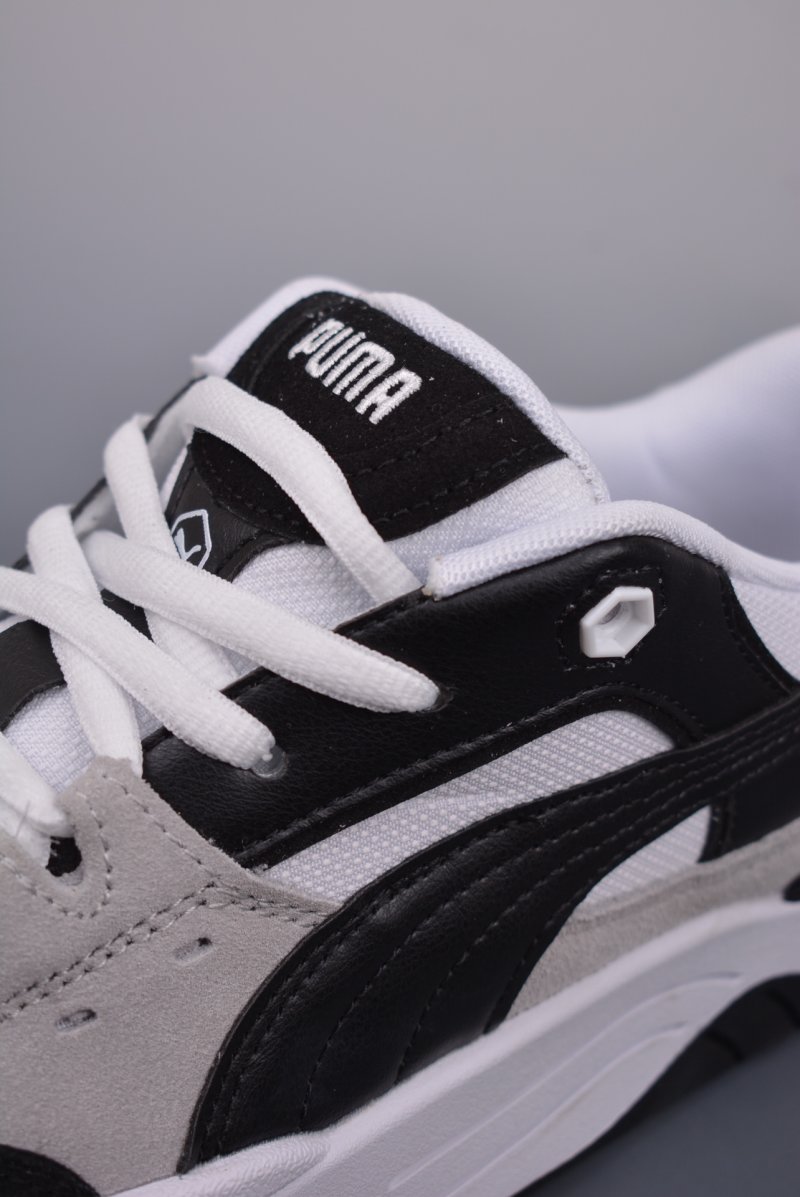 Puma Night Rider view