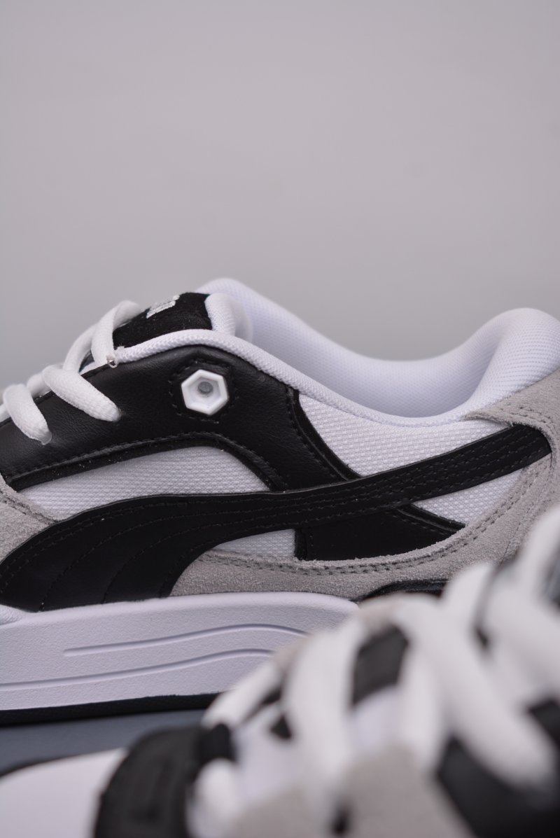 Puma Night Rider view