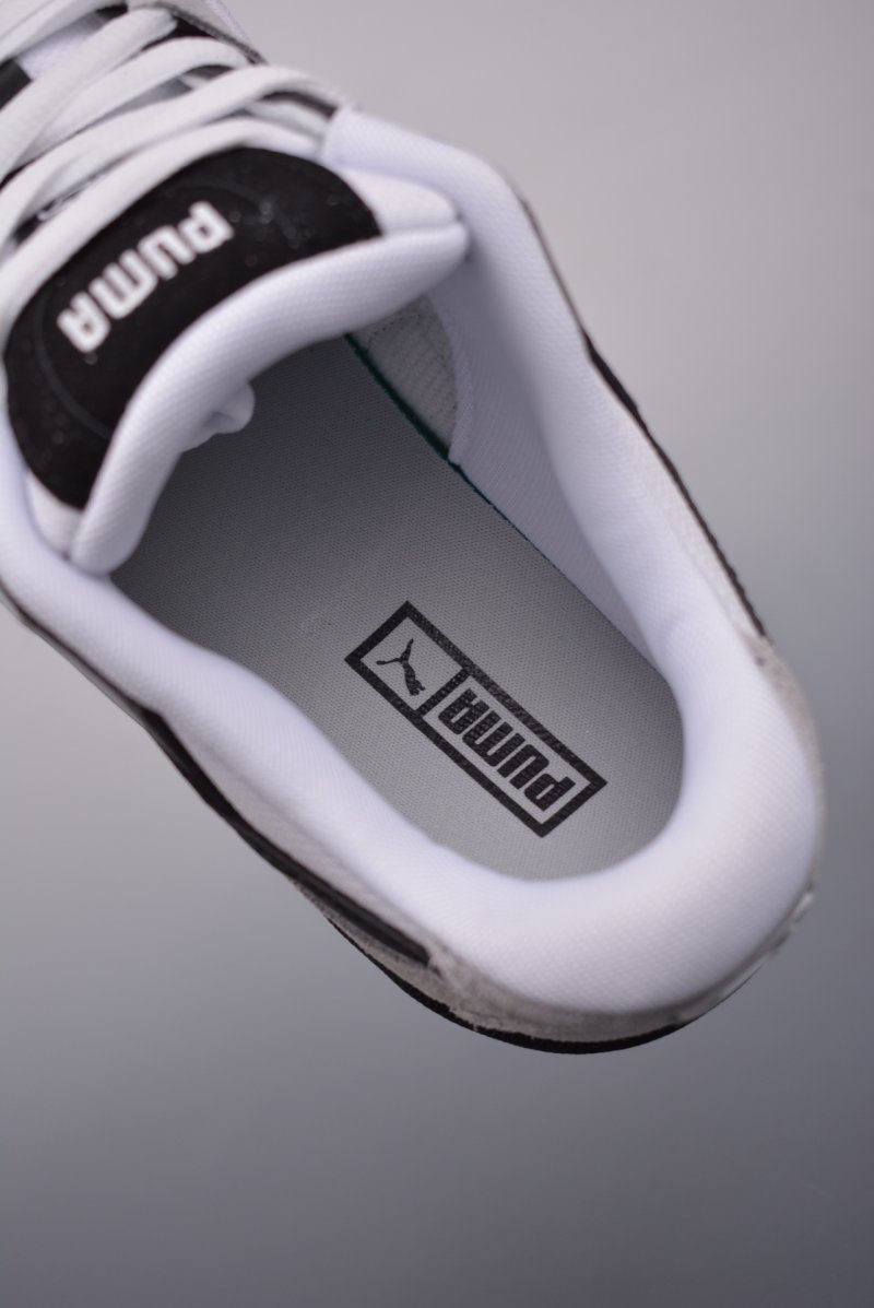 Puma Night Rider view