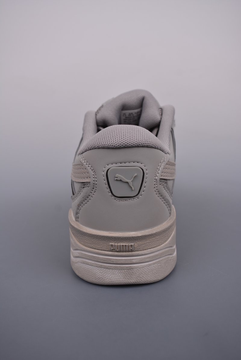 Puma Night Rider view