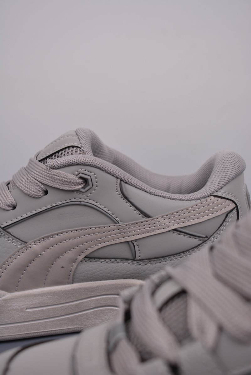 Puma Night Rider view