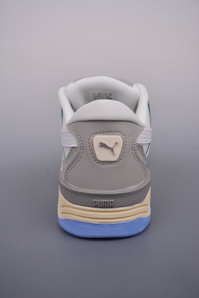 Puma Night Rider view