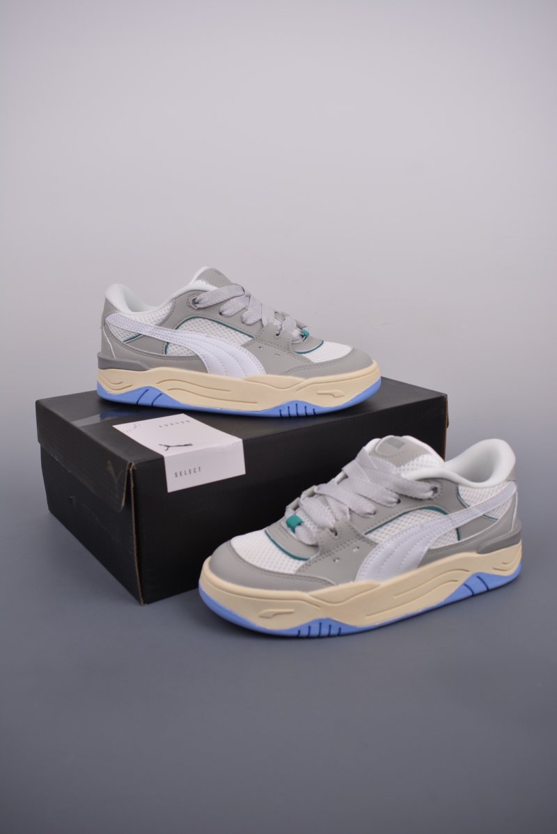 Puma Night Rider view