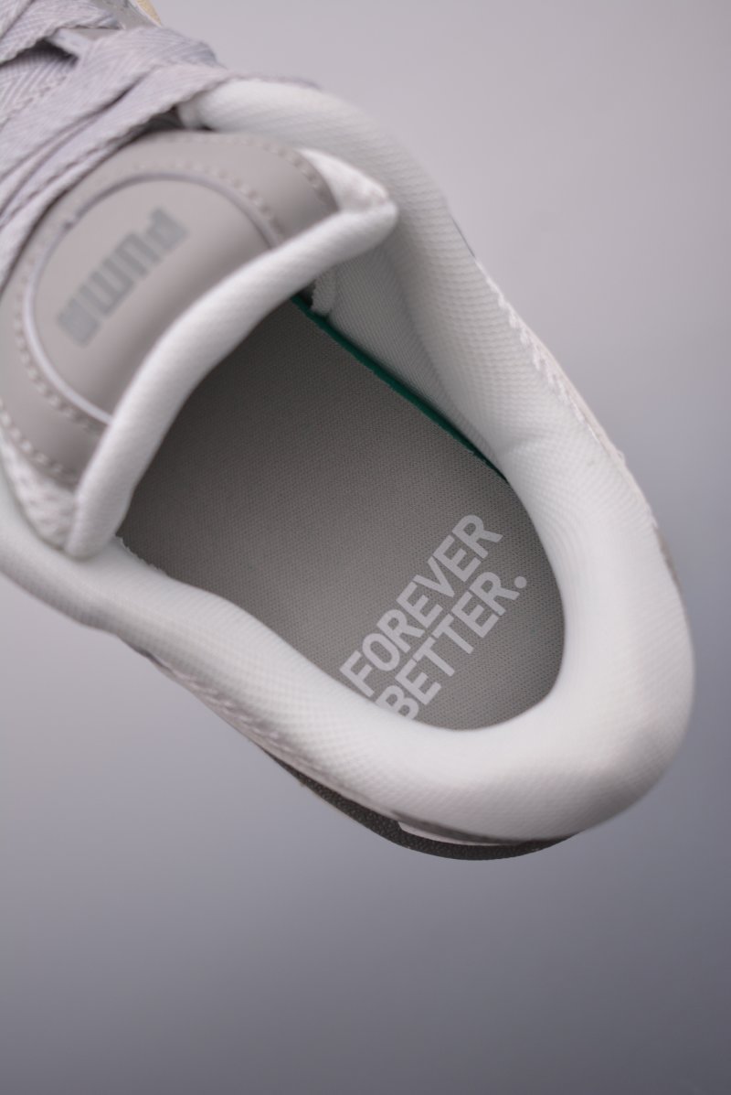 Puma Night Rider view