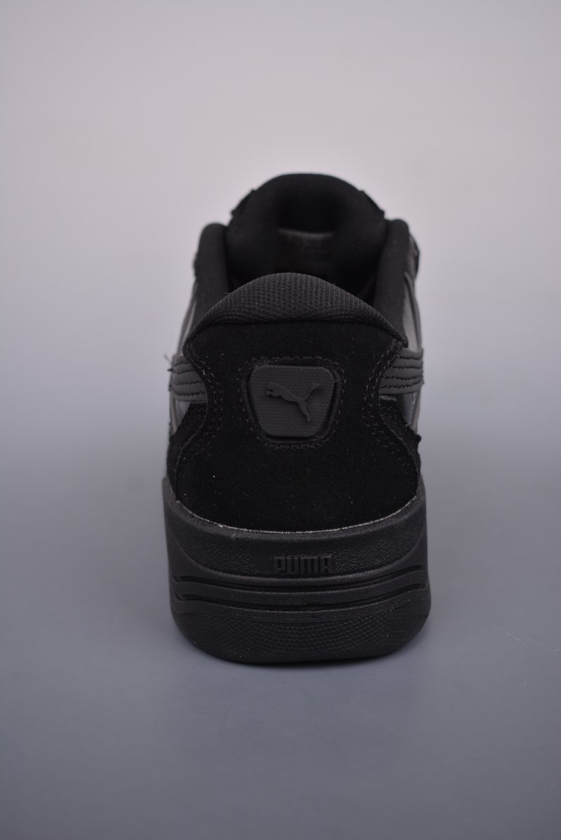 Puma Night Rider view