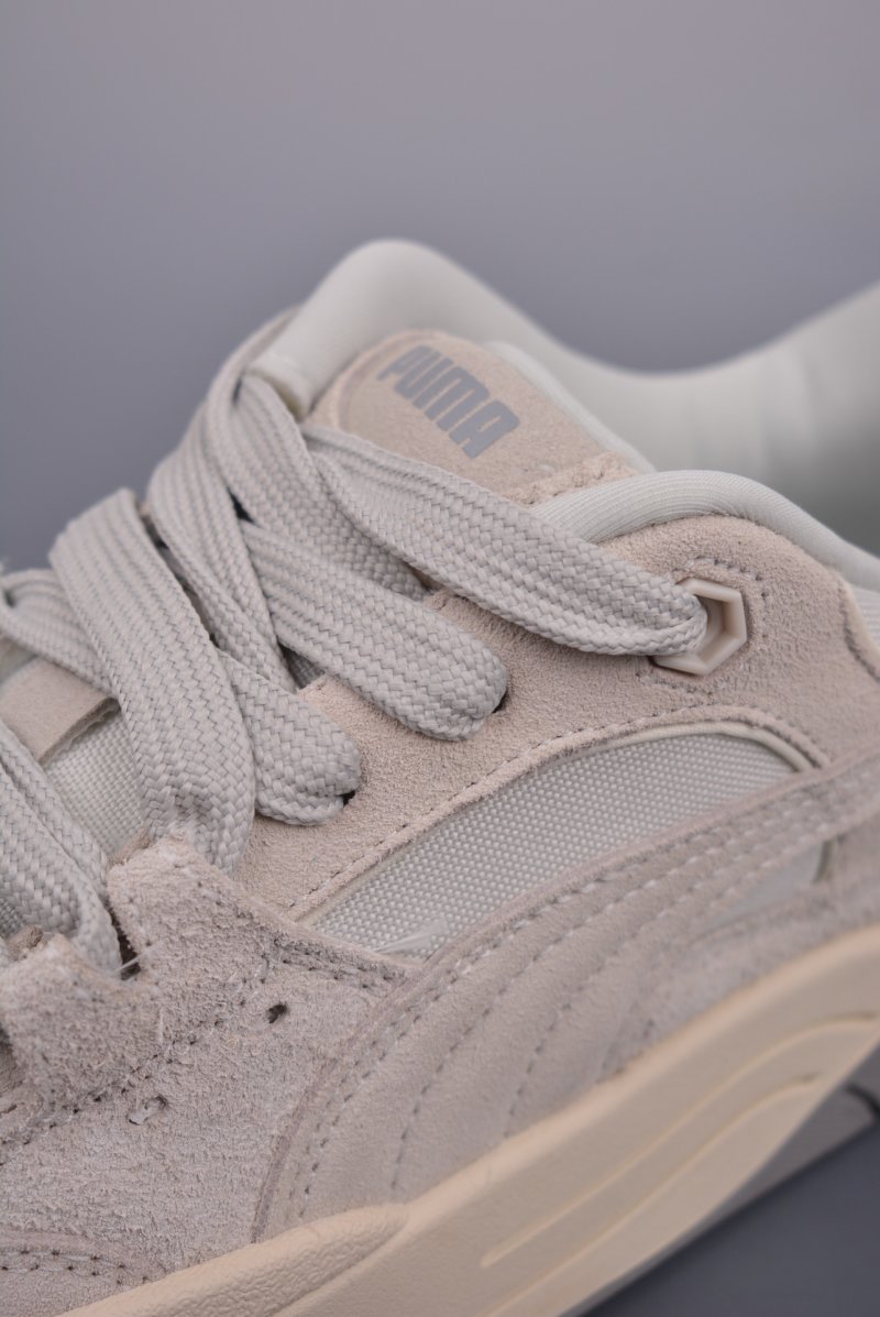 Puma Night Rider view
