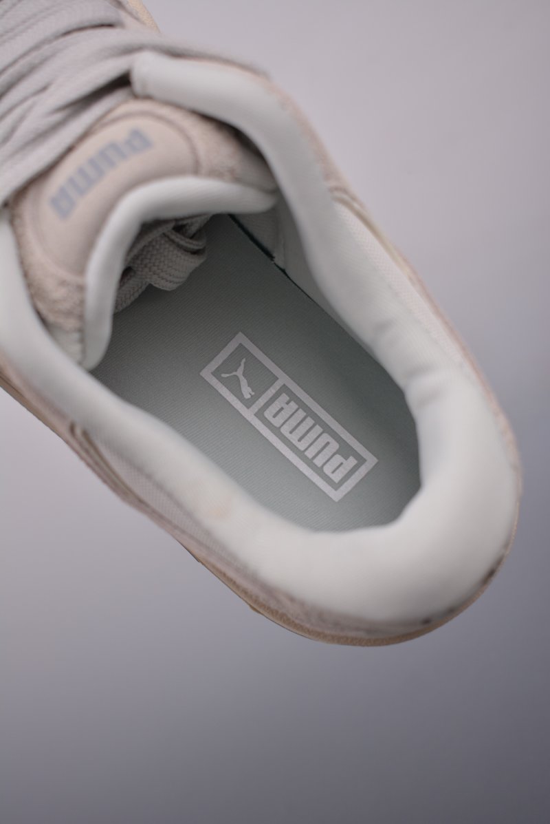 Puma Night Rider view