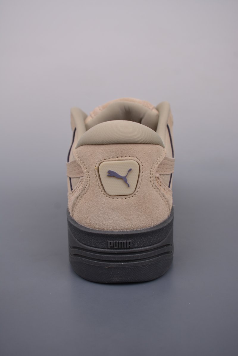 Puma Night Rider view