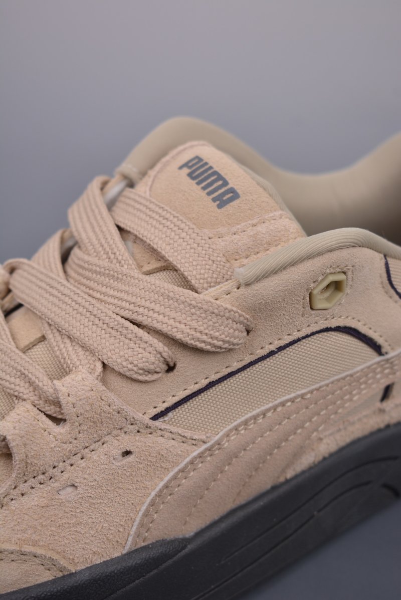 Puma Night Rider view