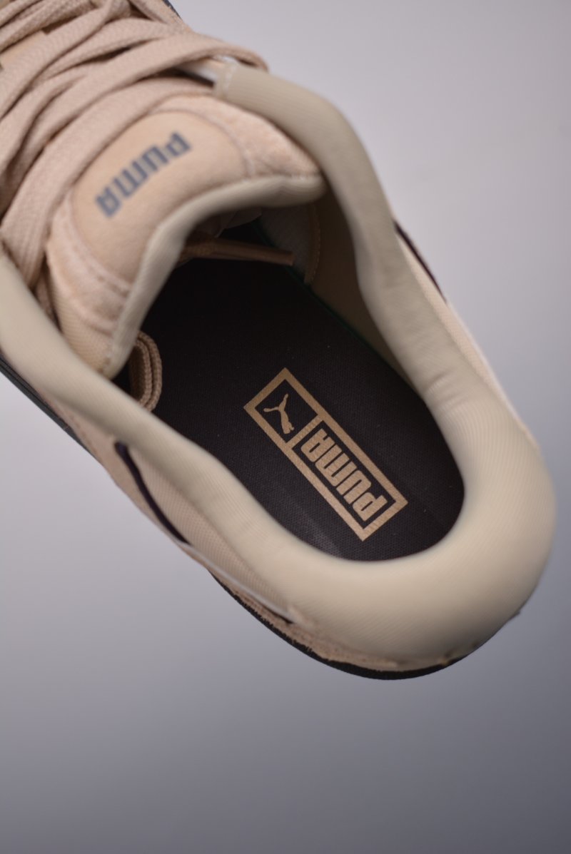 Puma Night Rider view