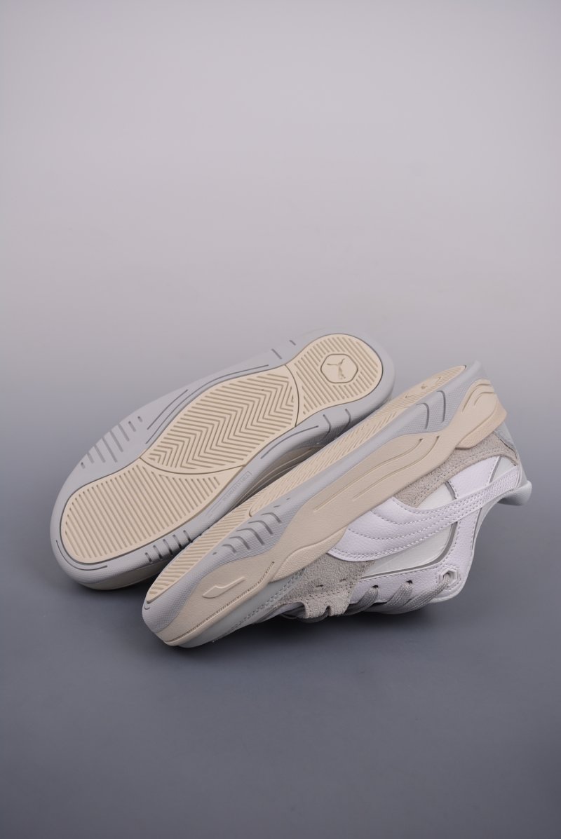 Puma Night Rider view