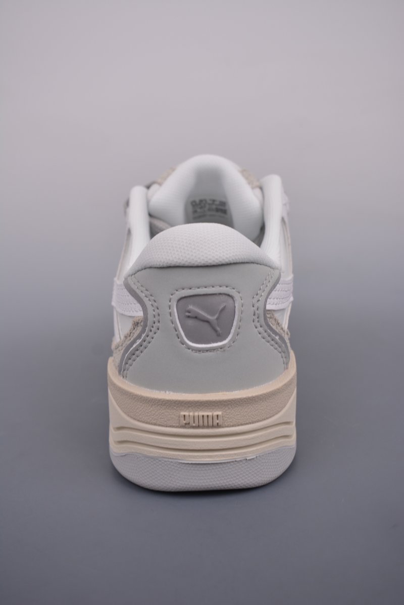 Puma Night Rider view