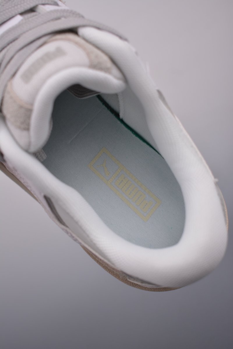 Puma Night Rider view