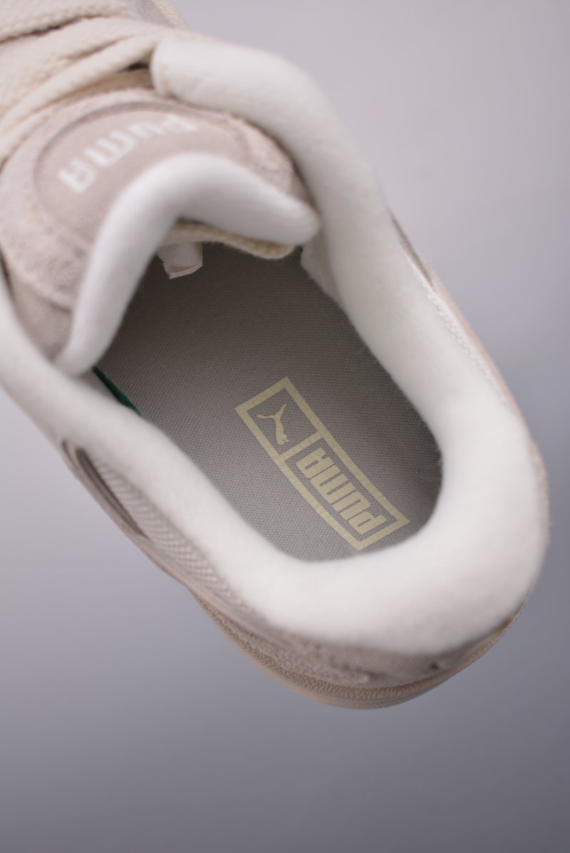 Puma Night Rider view