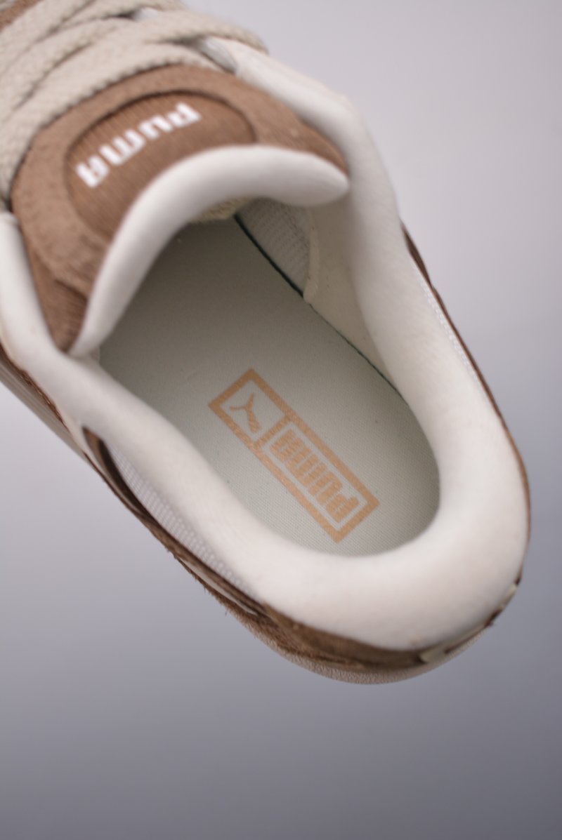 Puma Night Rider view