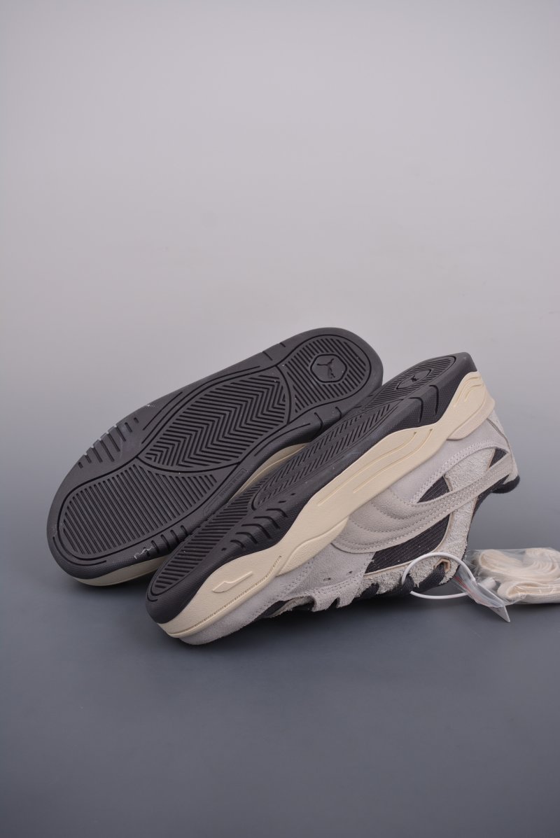 Puma Night Rider view