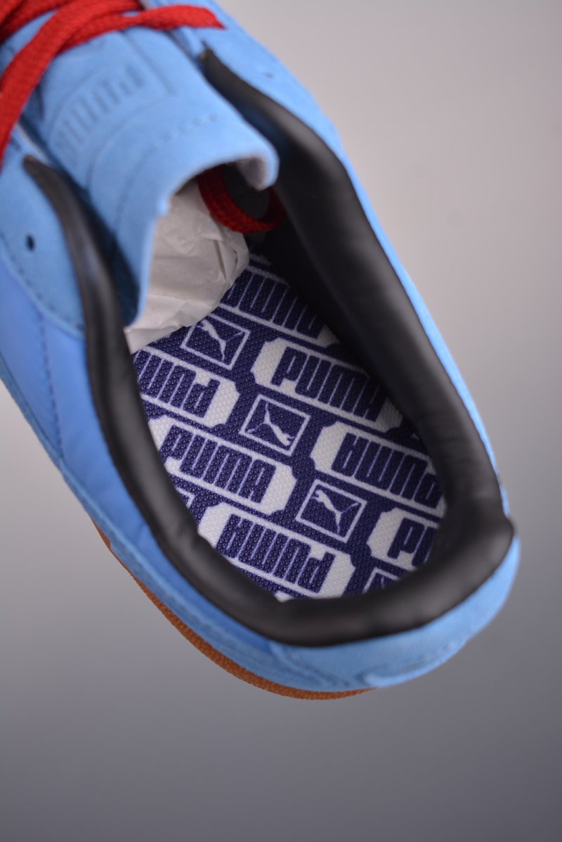 Puma Palermo view