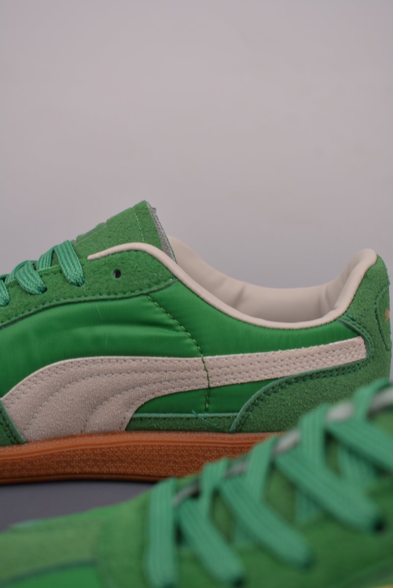 Puma Palermo view