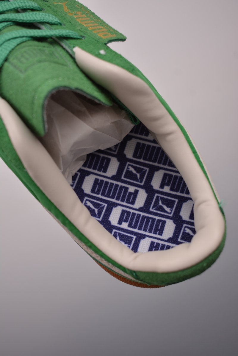 Puma Palermo view