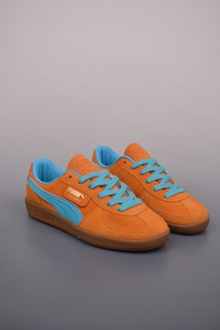 Puma Palermo view 1