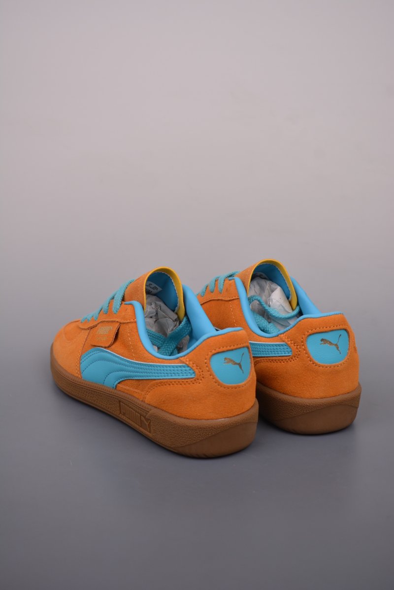 Puma Palermo view