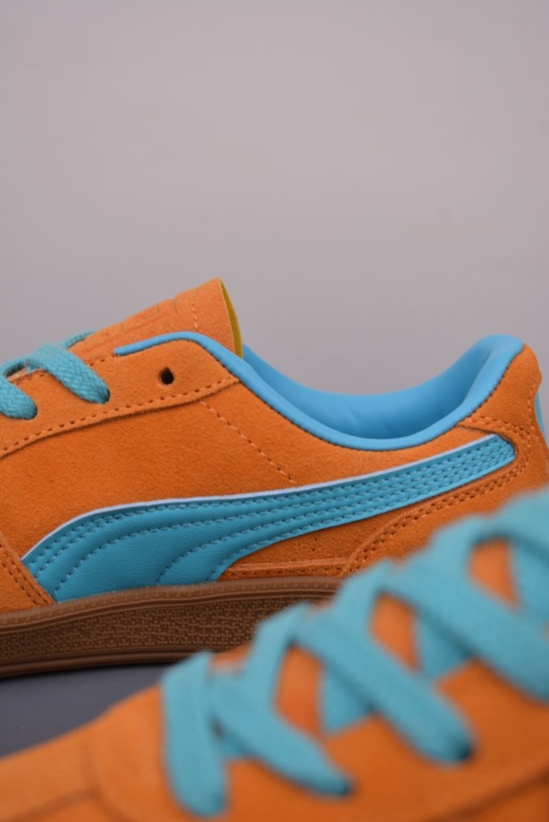 Puma Palermo view