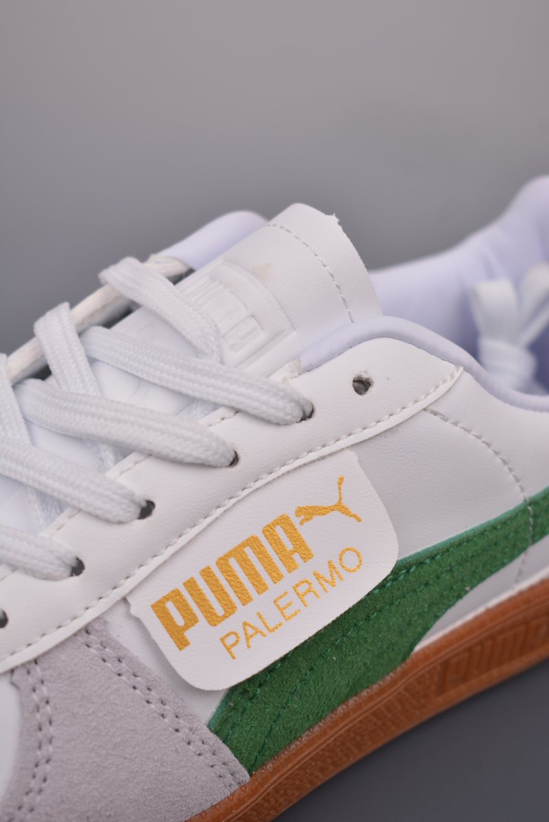 Puma Palermo view