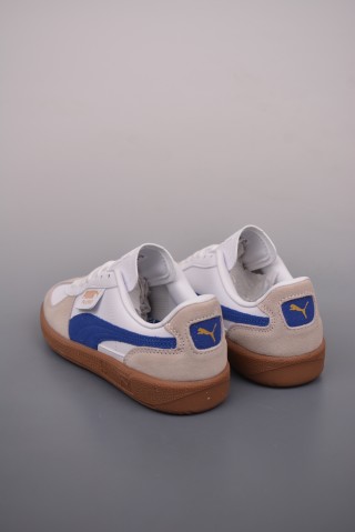 Puma Palermo view 2
