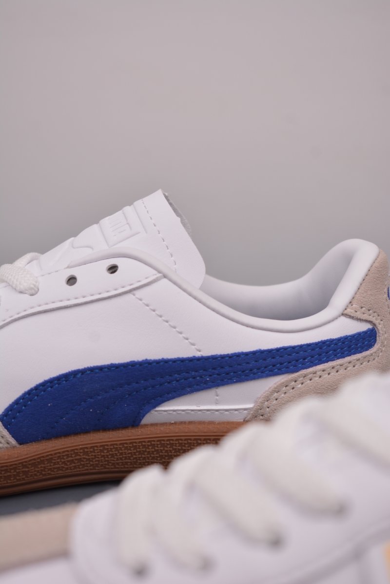 Puma Palermo view