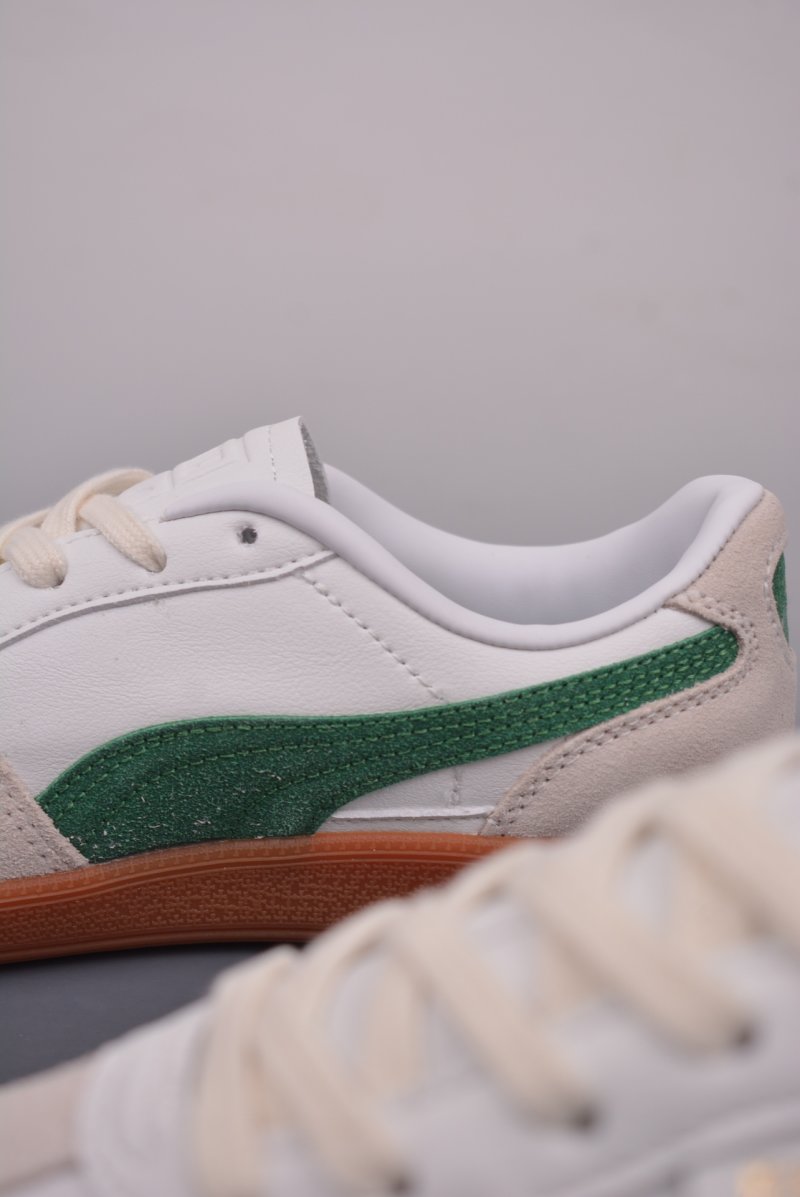 Puma Palermo view