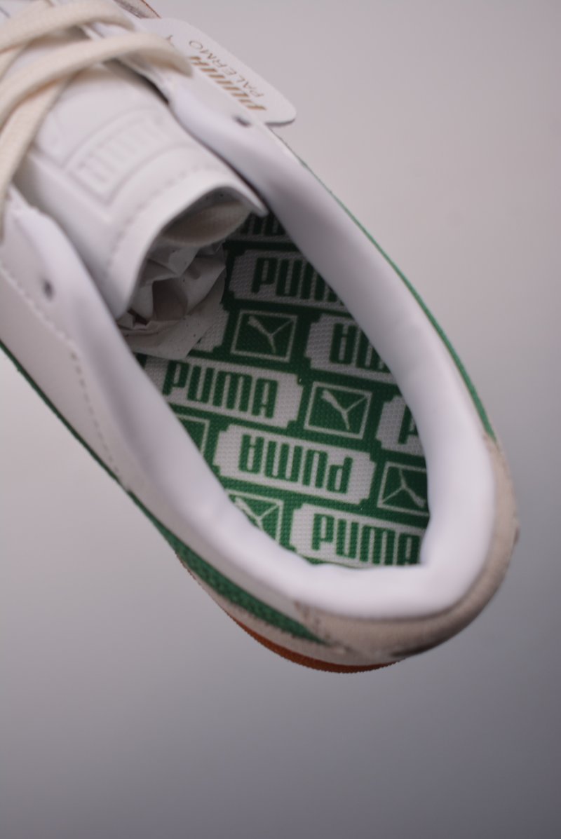 Puma Palermo view