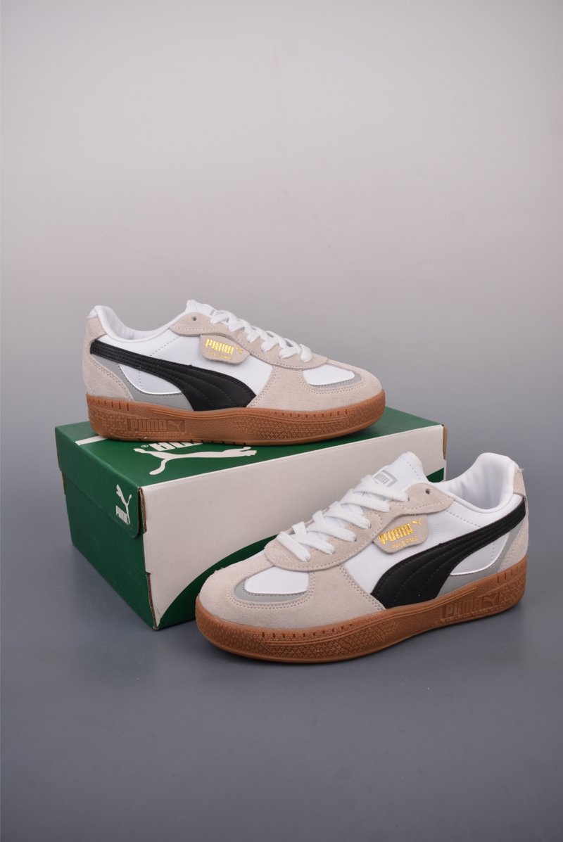 Puma Palermo view