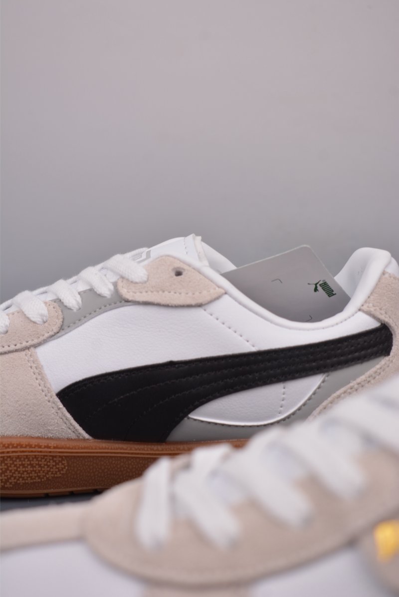 Puma Palermo view