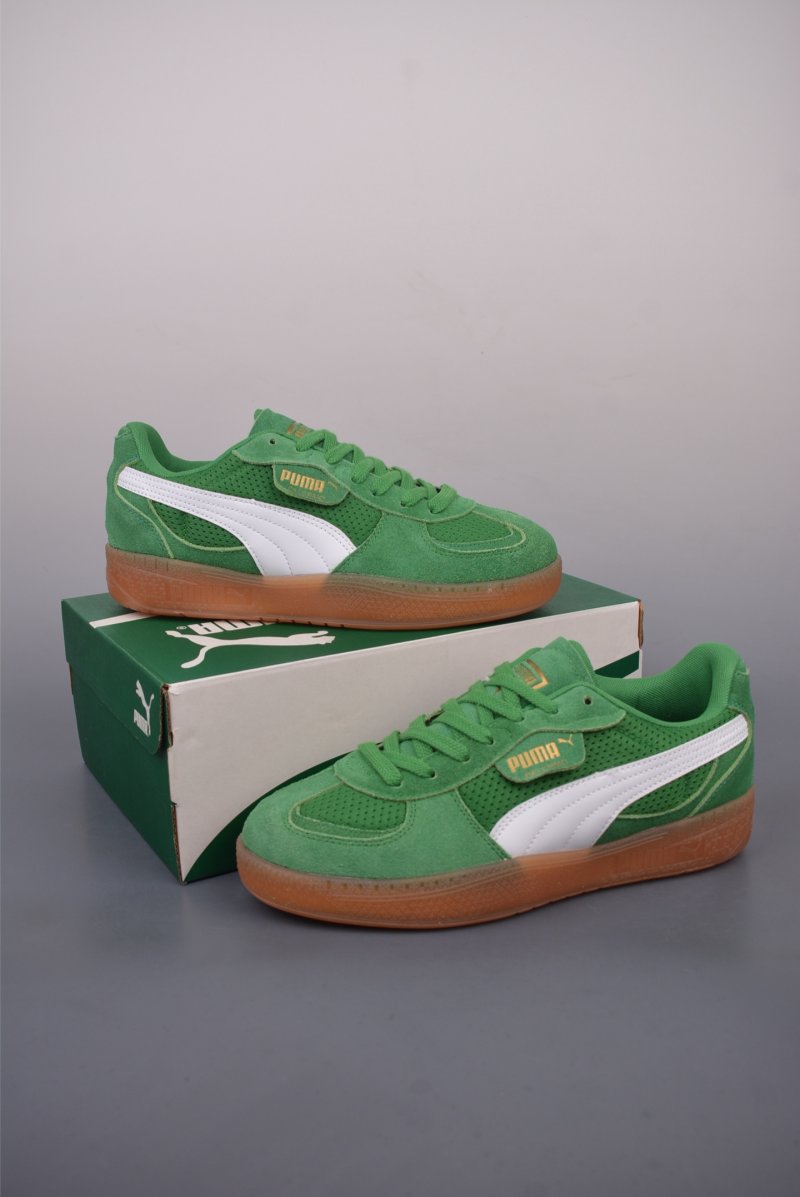 Puma Palermo view