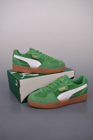 Puma Palermo view 5