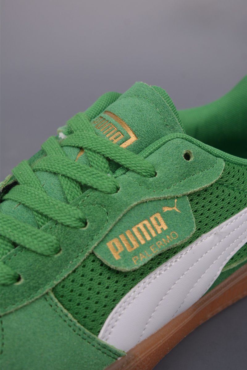 Puma Palermo view
