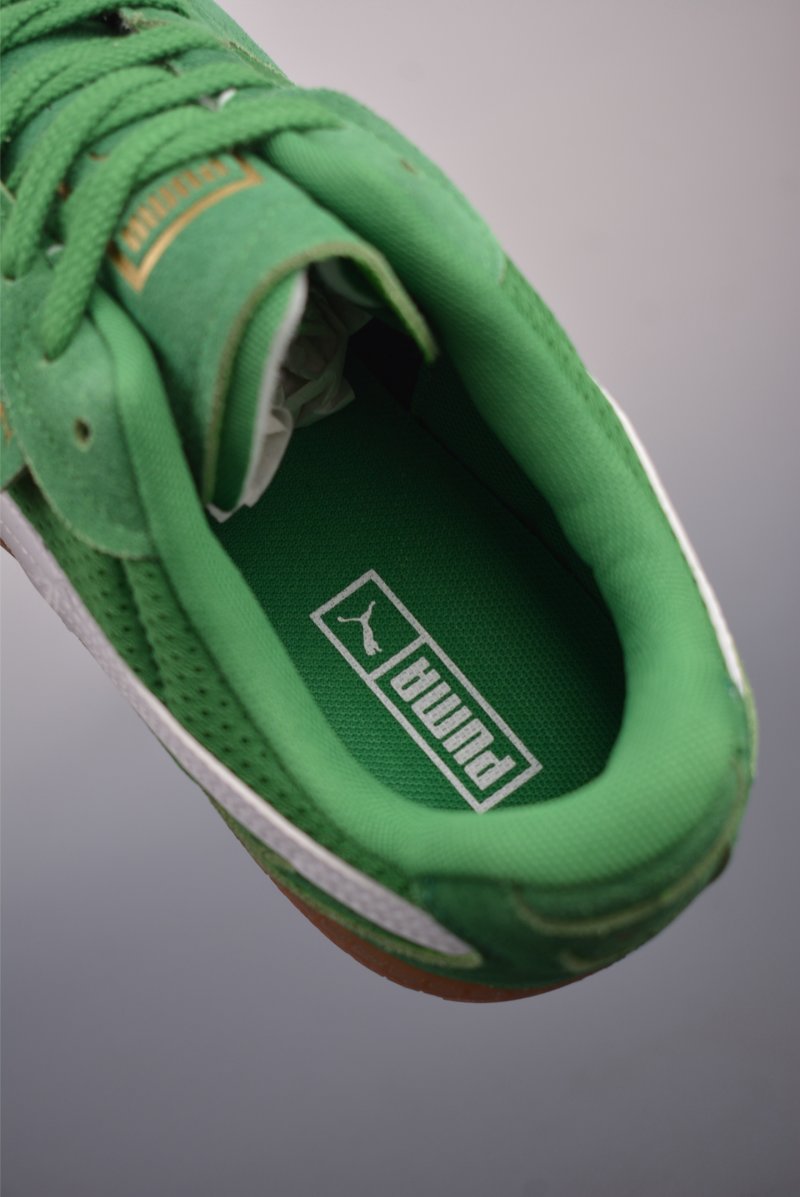 Puma Palermo view