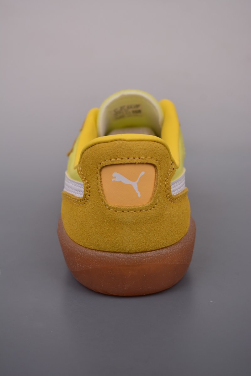 Puma Palermo view