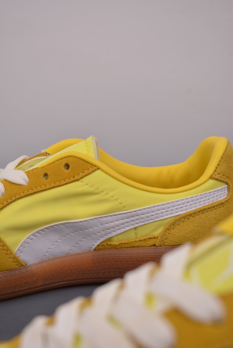 Puma Palermo view