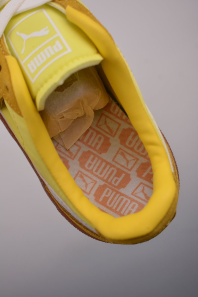 Puma Palermo view