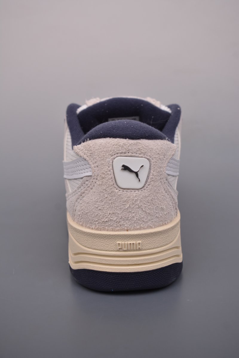 Puma Puma-180 Reflect view