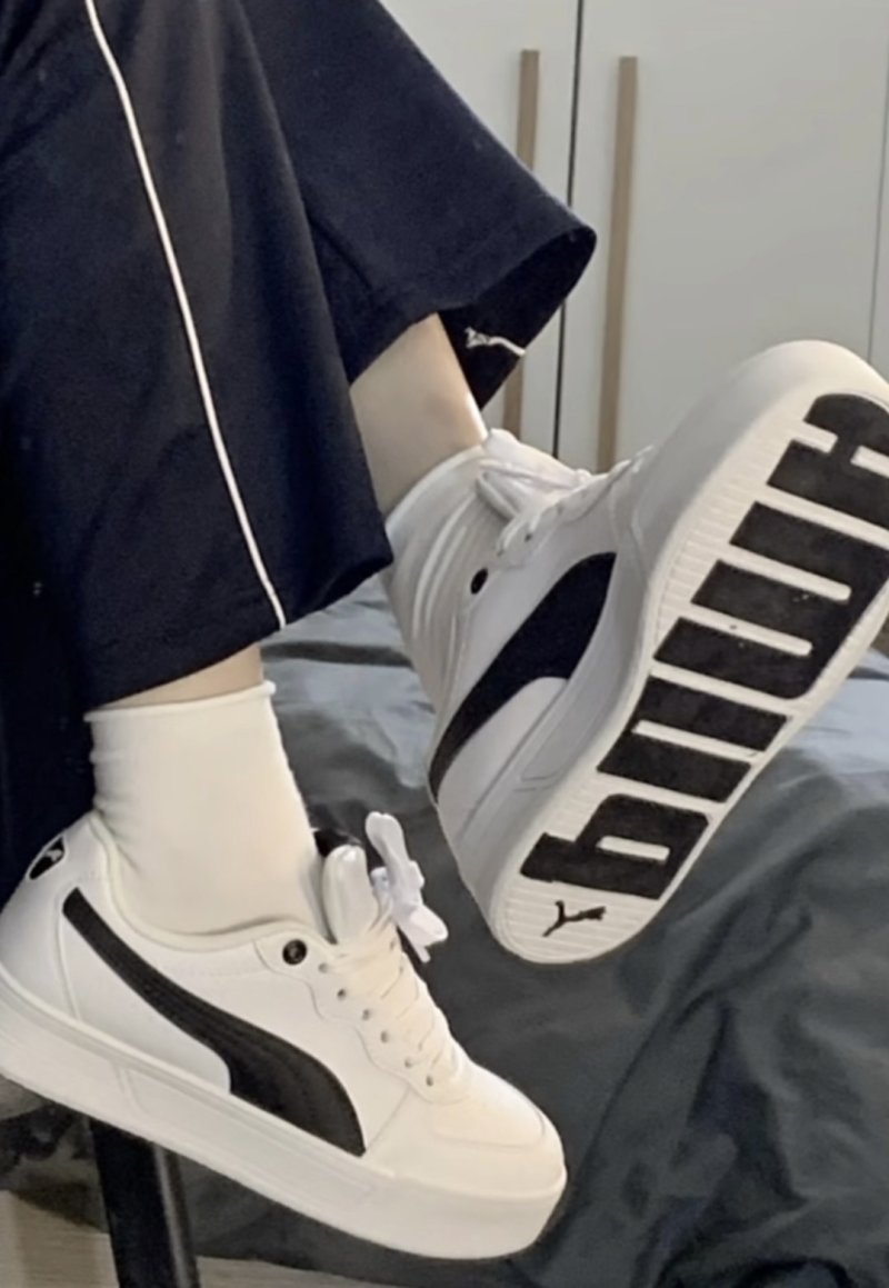 Puma Skye view