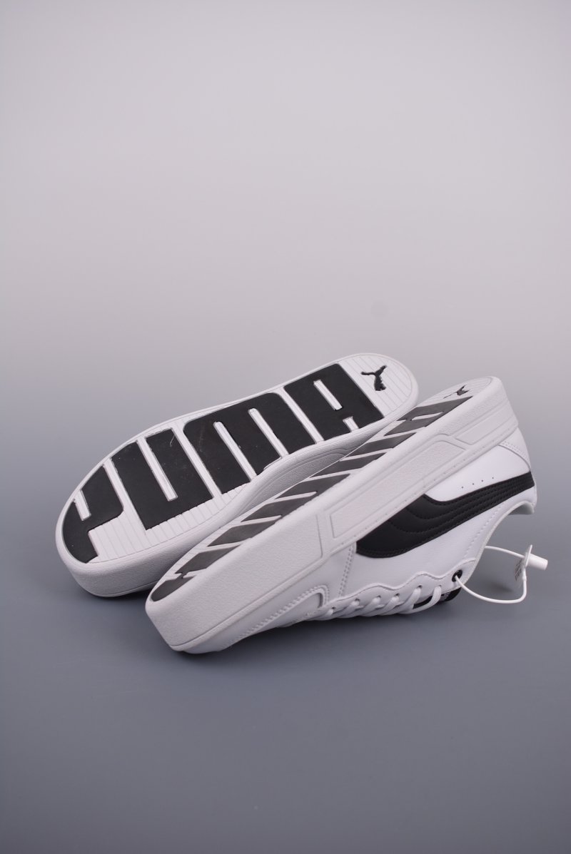 Puma Skye view