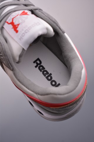 Reebok ERS World view 9