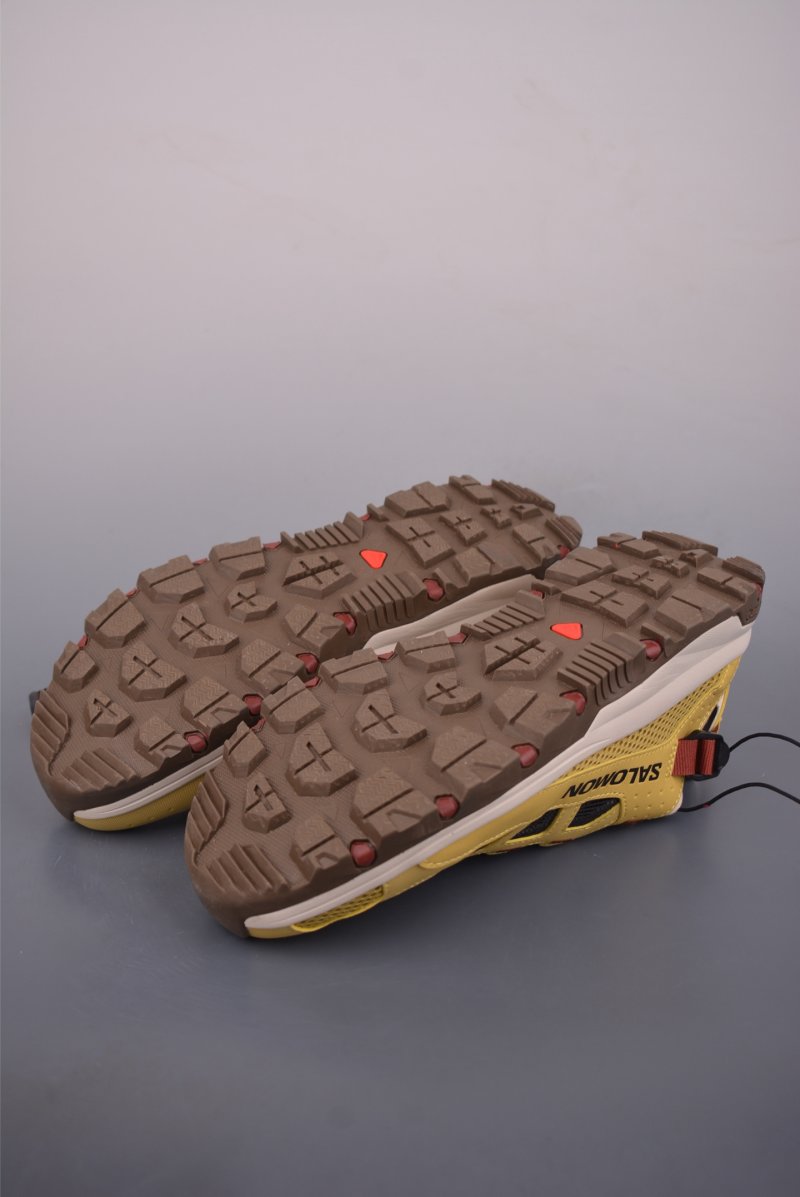 Salomon Solamphibian view