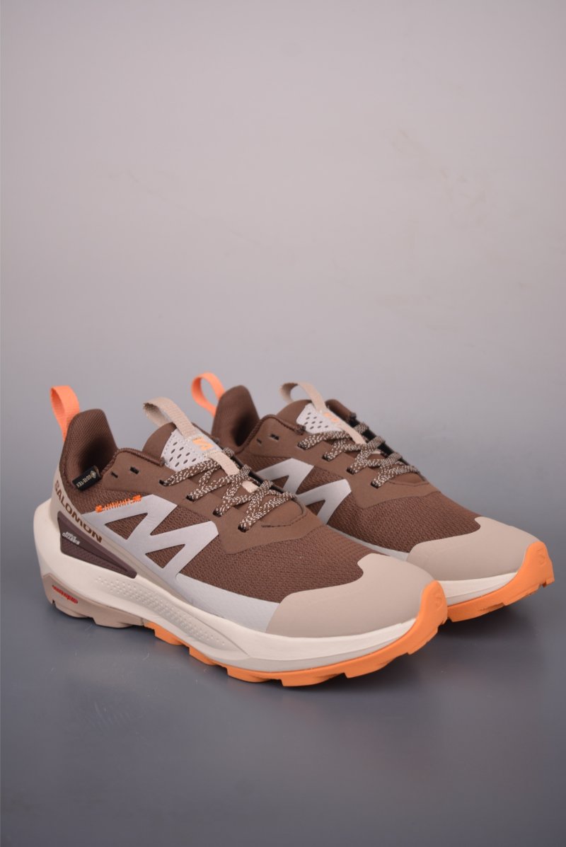 Salomon X Ultra GTX 4